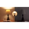 Sunlite ShabBulb, Shabbat Permissible LED Light Bulb, 7 Watt (40
