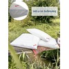 PARADIES Softy Top Organic Firm Pillow 40 x 80 cm,