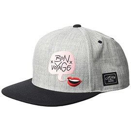 Cayler & Sons Unisex_Adult Baseball Kappe C&s Wl Bouble Voyage Cap, Heather Grey/mc, One Size