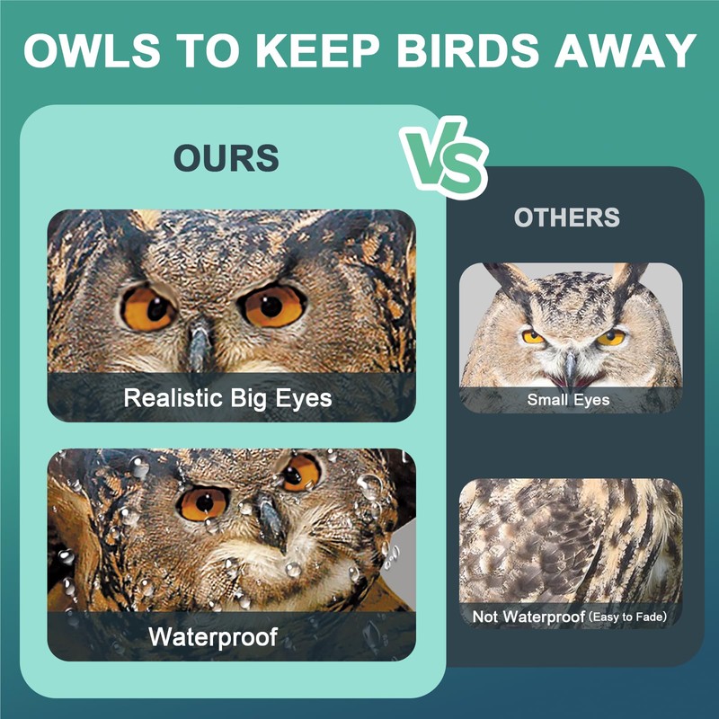 Vicsiyi Owls to Keep Birds Away: 3 Pack Fake Owls