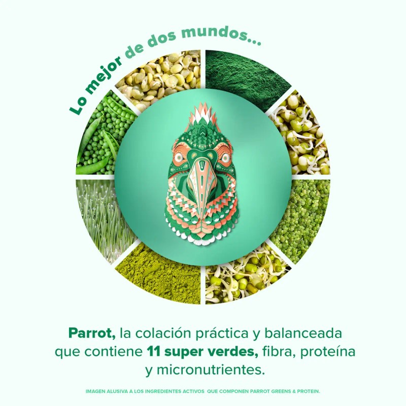 Birdman Parrot Green Protein Suplemento Sobres 30gr Sabor Matcha