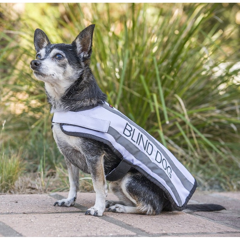 Dexil BLIND DOG White Colour Coded S M L Reflective
