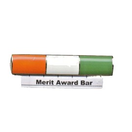 New York City Auxiliary Police - Merit Award Bar  (Screw back)
