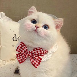 FUNETO Cat Collar Harness for Cats, Pet Bandana, Bib, Dog, Neckline, Scarf, Stylish, Cute Accessory, Hand-knitted, Ribbon, Drool Cover, Small Dogs, Cute Accessories, For Meals/Walks/Outings, Pet