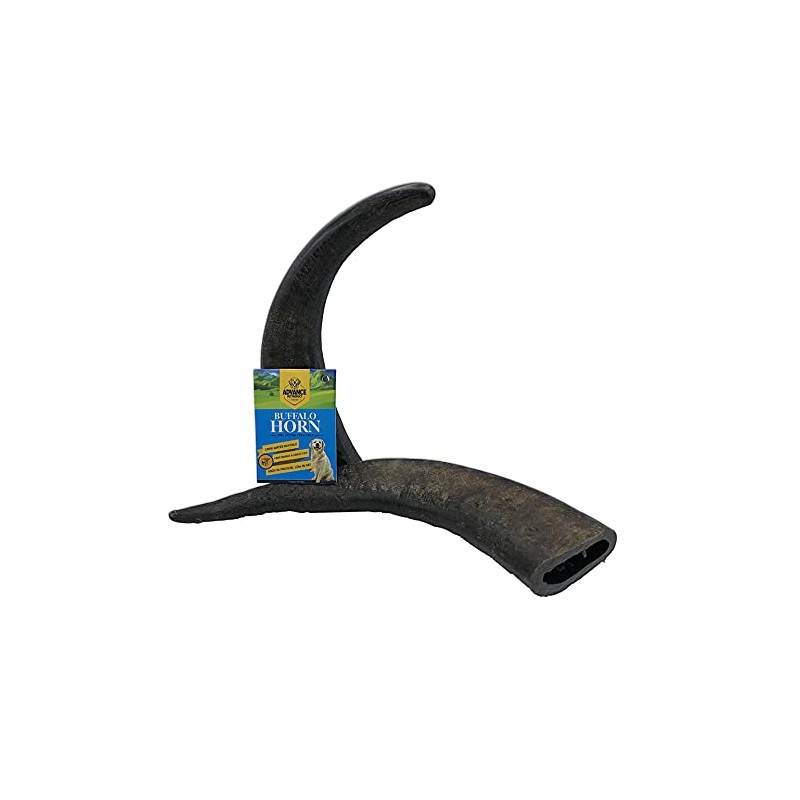 Buffalo Horn 2 Pack Large Long Lasting 100% Natural Water