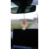 Witty Whiffs 2x Katzen Duftbaum Auto lustig, lustiger Katzen Lufterfrischer Auto 2er Set Duftanh?nger mit lustiger Katze, Katzen Meme Duftbaum - Zitrone