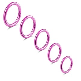 BLISI 5pcs Titanium Pink Nose Rings 16G/18G/20G Hinged Clicker Segment Hoop Lip Septum Rings Tragus Cartilage Sleeper Earrings 6mm-10mm Hypoallergenic