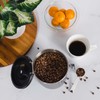 CafetastiQ Large Coffee Canister – Airtight Stainless Steel Storage Container