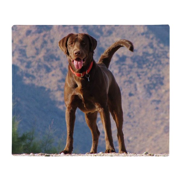 CafePress Lovable Chocolate Lab Throw Blanket Soft Fleece Throw Blanket,