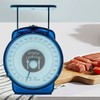 Ieron Mini Mechanical Kitchen Scale 1KG Capacity, Food Weighing Baking