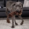 Pet Factory Shake & Squeak Critter Tugz Plush Dog Toy,