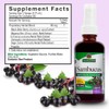 Nature's Answer Sambucus Spray | Supports a Healthy Immune System