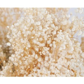 17 Inch Dried Flowers Baby's Breath Bouquet - 2000+ Ivory White Dry Flowers,Natural Gypsophila Branches for Home Decor, Wedding, Table Decor, DIY Wreath Floral, Dry Flowers Bulk for Vase