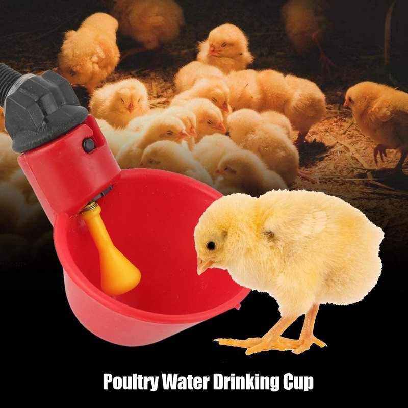 Lsaardth Pack of 10 Chicken Water Drinking Cups - Automatic