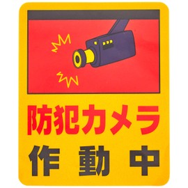 光 防犯カメラ作動中 00872790-1 RE801-2