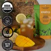 IntegriTEA Green Mango Flavored Green Tea, 6 Organic Unsweetened Iced