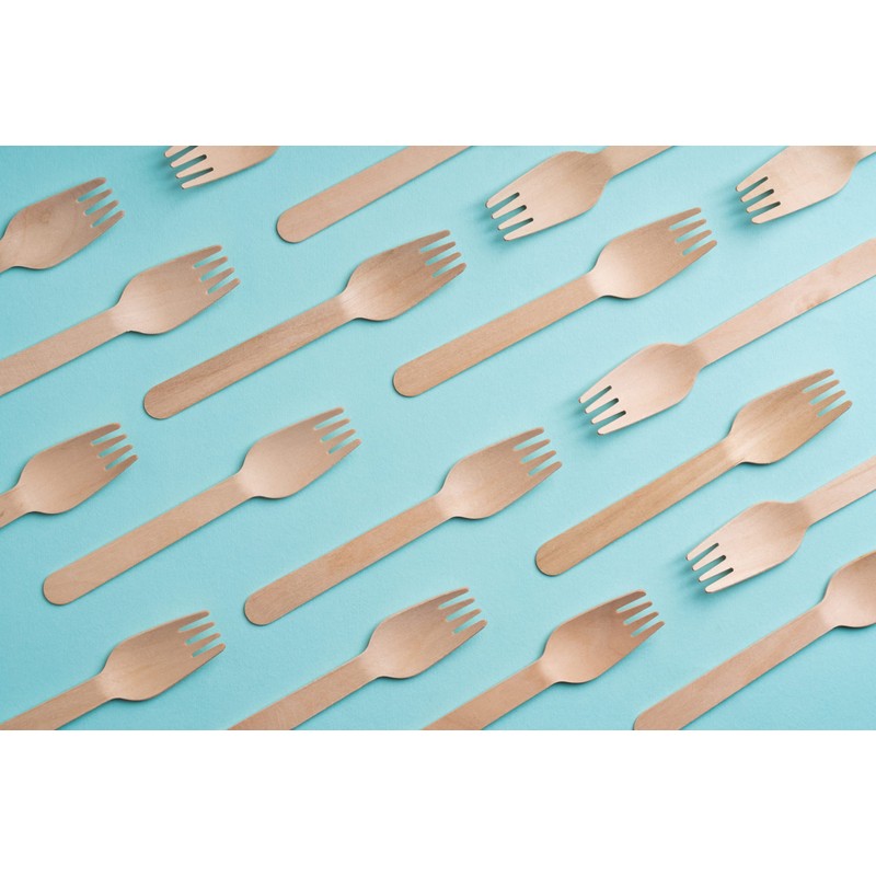 FOOGO Green 450pcs Disposable Wooden Forks 16cm Biodegradable Compostable Eco