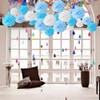 18pcs Tissue Hanging Paper Pom-poms, Flower Ball Wedding Party Outdoor