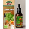 Lemon Balm + Amber Extract/Organic Lemon Balm + Organic Baltic