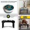Pet Zone Elevated Dog Bowls Designer Diner 3 Height Adjustable