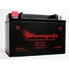 ATV Battery; RG9-BS; Arctic Cat (2004, 2005, 2006, 2007, 2008)