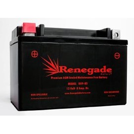 ATV Battery; RG9-BS; Arctic Cat (2004, 2005, 2006, 2007, 2008) DVX 400, DVX 400 TS / (2009, 2010, 2011, 2012, 2013, 2014, 2015, 2016, 2017) 150,150 2x4; Part# ES9BS, BTX9-BS, UTX9, TYX9-BS
