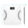 Tenergy Vitalis Body Fat Scale Digital Weight Bluetooth Connected APP