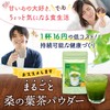 Manshoido Manshodo Mulberry Leaf Tea Powder, 3.5 oz (100 g),