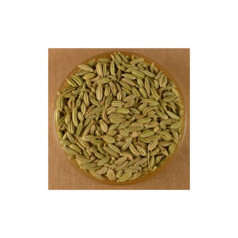 Fennel Seeds, Whole (8oz)