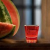 Mokoart Is You Drunk Shot Glass - Cute Shot Glasses