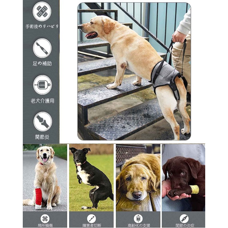 Dog Care Harness, Dog Harness, Waist Band, For Large Dogs,
