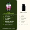 Swanson MSM Metilsulfonilmetano 1000 mg Suplemento Alimenticio 240 Cápsulas