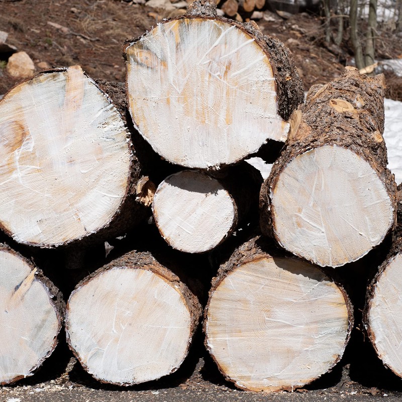 End Grain Sealer Clear 32oz by Preservation Solutions, Prevents End