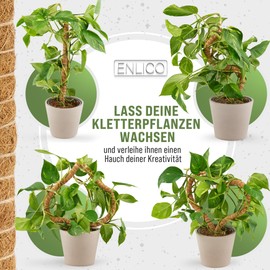 ENLICO Monstera Rankhilfe (2er-Set mit Zubehör), 70cm, biegsamer Moosstab für Monstera, Rankhilfen für Kletterpflanzen, Pflanzenstab mit Aluminiumkern (70cm)