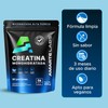 AMARTE LABS Creatina monohidratada en polvo alta pureza, 90 porciones,