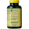 BASKETGOODS Spring Valley Ashwagandha- 500mg Root Powder, 60 Capsules (Pack