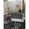 Stratco Raised Steel Metal Outdoor Decor Rectangular Tall Vegetable Garden