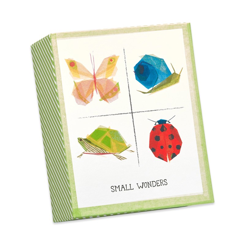 Papyrus Blank Cards with Keepsake Box, Garden Critters (20-Count)