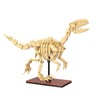 CaDA Velociraptor Dinosaur Skeleton - 256 Piece Brick Model Kit