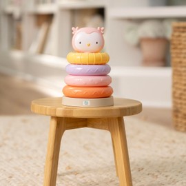 Bright Starts ity by Ingenuity Cutie Stacks, 4 BPA-Free Rings, Faux Wood Stand, Owl Topper, Unisex, for Children from 6 Months - Nally