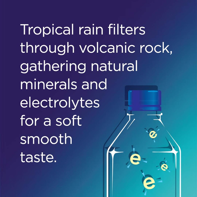 FIJI Natural Artesian Water, 16.9 Fl Oz Bottle (6-Pack)