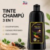 Shampoo Tinte Instantáneo Castaño Cubre Canas 100ml
