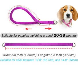 Mycicy Reflective Dog Choke Collar, Soft Nylon Training Slip Collar for Dogs (5/8" W x 15.5" L, Purple)- Suitable for Dog Weight Around 20-38 pounds