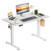 DUMOS Electric Standing Desk 39.4 x 23.6 Inch, Height Adjustable