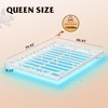 WLIVE Floating Queen Bed Frame, LED Bed Frame with Charging
