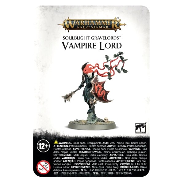 Games Workshop Vampire Lord Soulblight Gravelords Vanguard NO BOX Sigmar