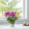 6-Piece Transparent Flower Frog Set, Small & Medium Arrangement Tools