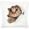 ZFENGYYUAN Super Soft Short Plush Square Throw Pillow Case Cushion