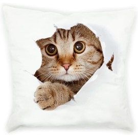 ZFENGYYUAN Super Soft Short Plush Square Throw Pillow Case Cushion Cover 45cm x 45cm home decor for Sofa Bed Chair 3D Cat Pattern
