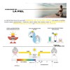 Protector Solar Facial Mineral Ulmar Piel Sensible 2pzs